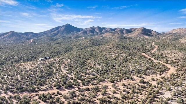 view of mountain feature