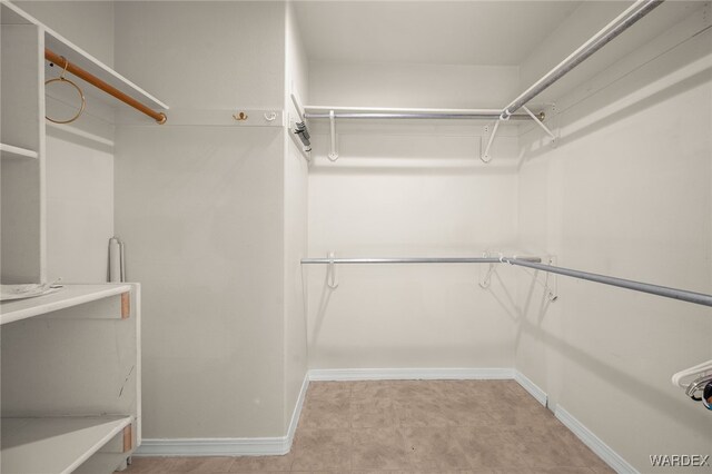 view of spacious closet