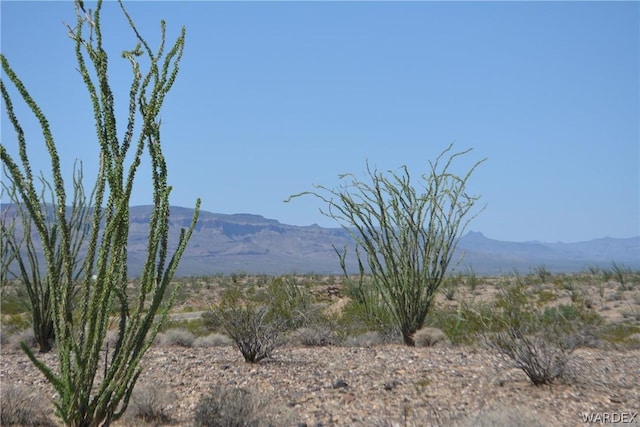 3007 S Alamo Rd, Yucca, AZ 86438
