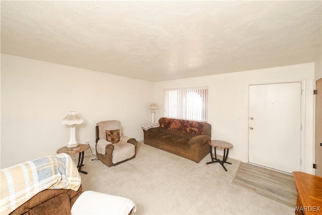 living area featuring a textured ceiling and light colored carpet