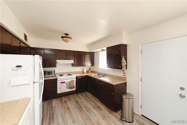 kitchen with dark brown cabinetry, under cabinet range hood, white appliances, a sink, and light countertops