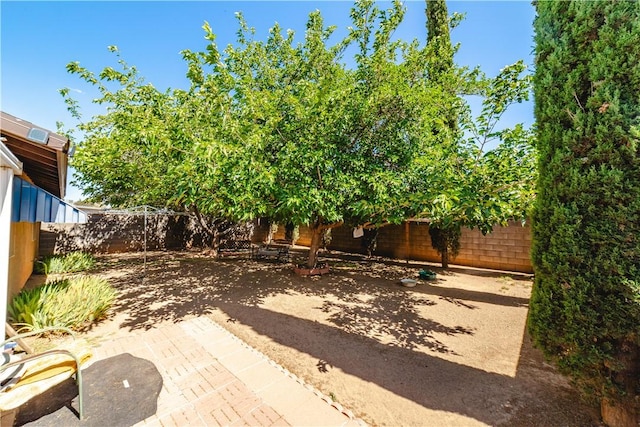 2616 Wikieup Ave, Kingman, AZ 86401 - photo 28