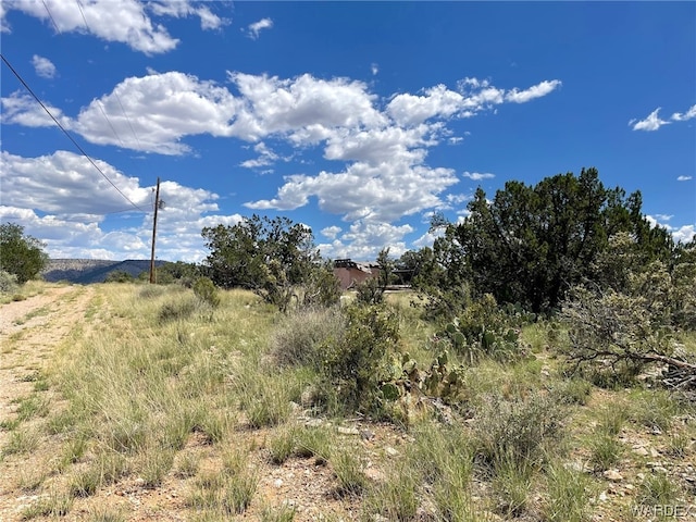 863 N Dominion Dr, Seligman AZ, 86337 land for sale