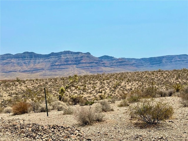 800 Frazier Ln, Meadview, AZ 86444 - photo 4