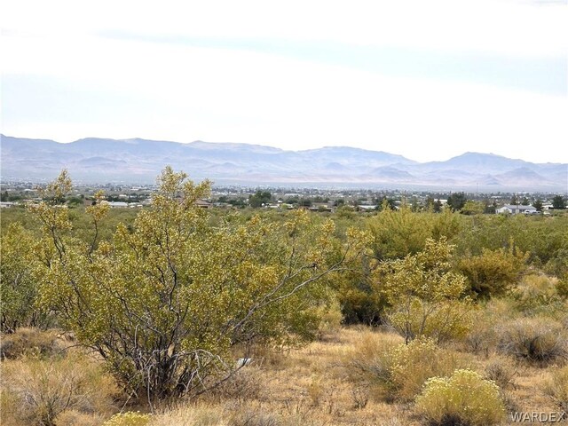 LOT5 S Bonita Rd, Golden Valley, AZ 86413 - photo 12
