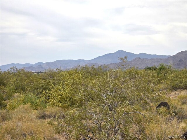 LOT5 S Bonita Rd, Golden Valley, AZ 86413 - photo 14