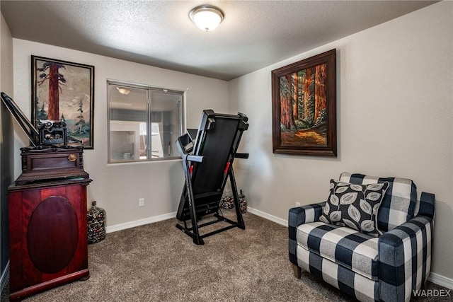 exercise room with a textured ceiling, baseboards, and carpet