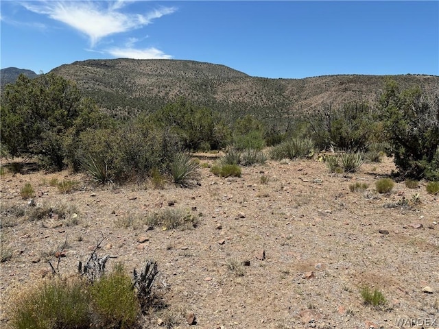 800 Pony Mesa, Kingman AZ, 86401 land for sale