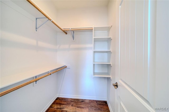 spacious closet with dark wood-type flooring