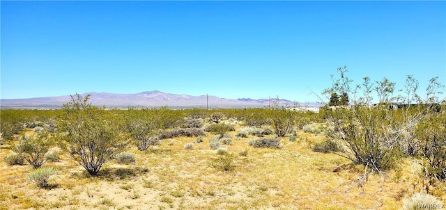 Listing photo 2 for 00 N Elm Dr, Dolan Springs AZ 86441