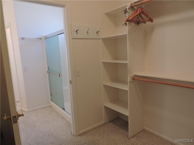 2353 Halfmoon Way, Bullhead City, AZ 86442 - spacious closet featuring carpet flooring