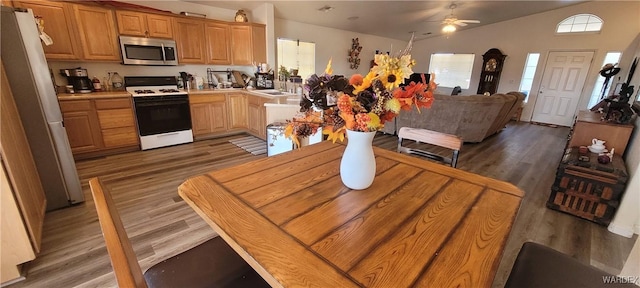 kitchen with appliances with stainless steel finishes, open floor plan, light countertops, and plenty of natural light