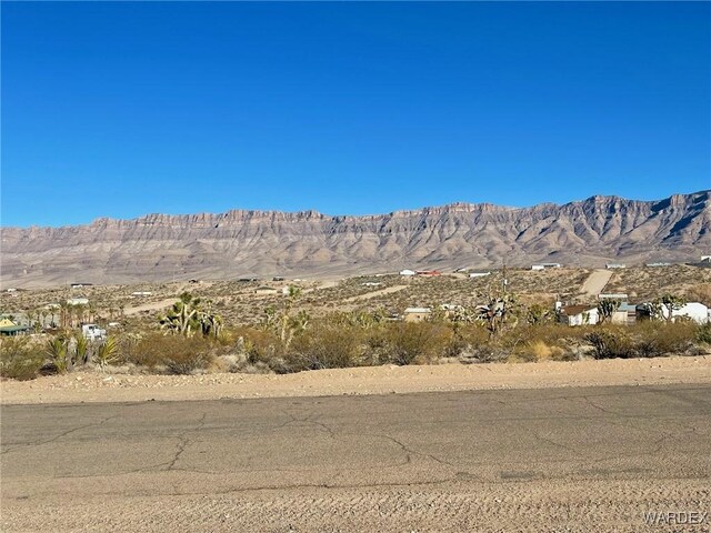 30095 N Escalante Blvd, Meadview, AZ 86444 - photo 9