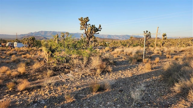 18209 N Silver Lode Dr, Dolan Springs, AZ 86441