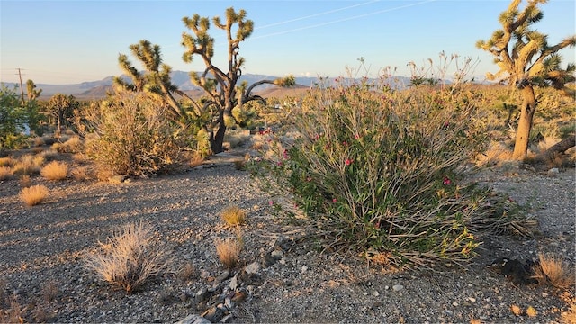 18209 N Silver Lode Dr, Dolan Springs, AZ 86441