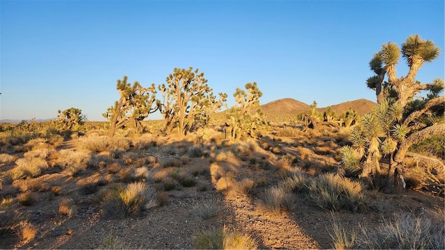 18209 N Silver Lode Dr, Dolan Springs, AZ 86441