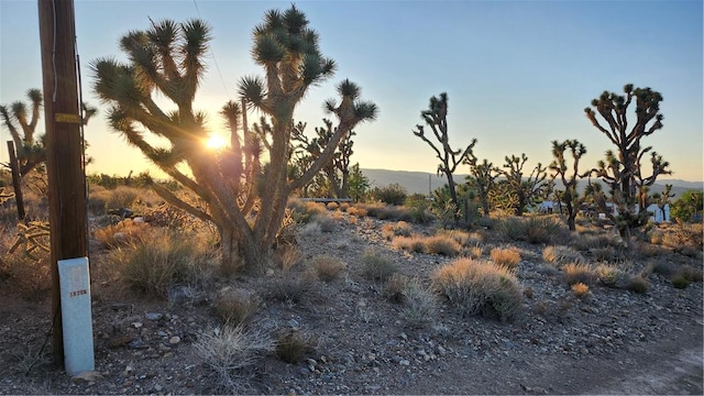 18209 N Silver Lode Dr, Dolan Springs, AZ 86441