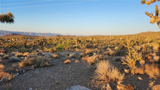 18209 N Silver Lode Dr, Dolan Springs, AZ 86441