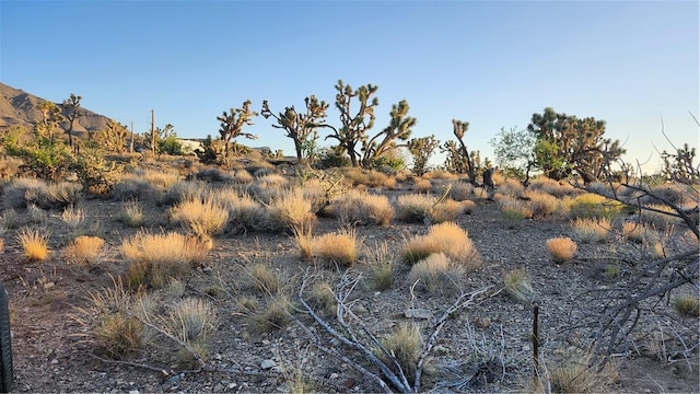 18209 N Silver Lode Dr, Dolan Springs, AZ 86441