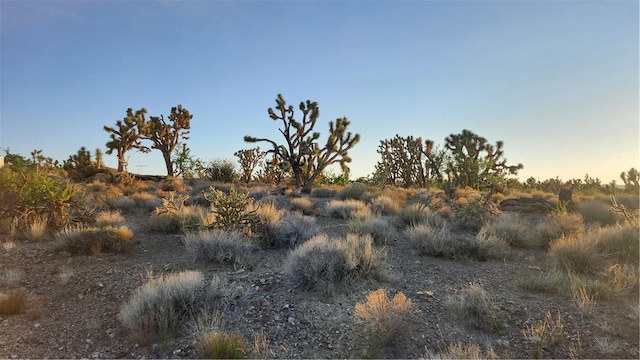 18209 N Silver Lode Dr, Dolan Springs, AZ 86441