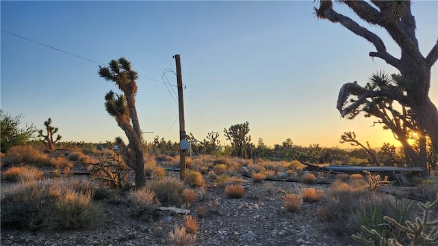 18209 N Silver Lode Dr, Dolan Springs, AZ 86441
