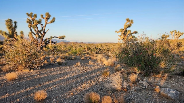 18209 N Silver Lode Dr, Dolan Springs, AZ 86441