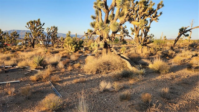 18209 N Silver Lode Dr, Dolan Springs, AZ 86441