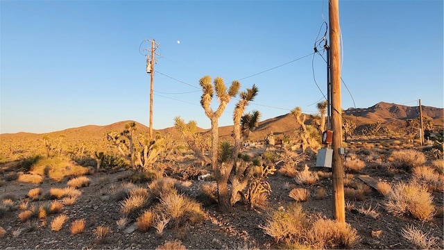 18209 N Silver Lode Dr, Dolan Springs, AZ 86441
