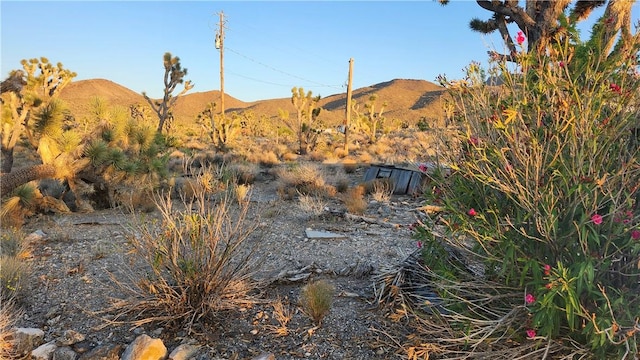 18209 N Silver Lode Dr, Dolan Springs, AZ 86441