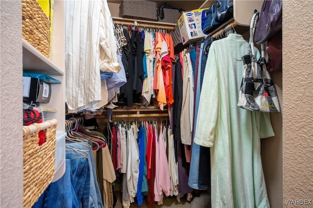 view of spacious closet