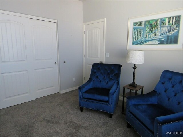 living area featuring dark colored carpet