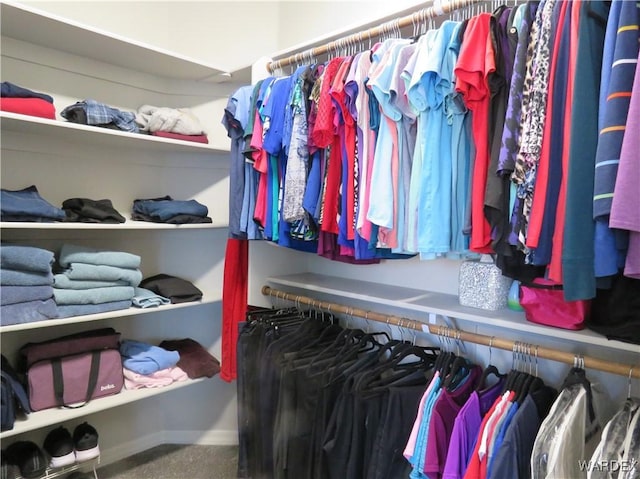 walk in closet featuring carpet floors