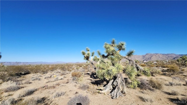 LOT207 E Mary Dr, Yucca AZ, 86438 land for sale