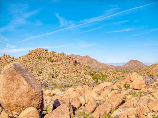 view of mountain feature