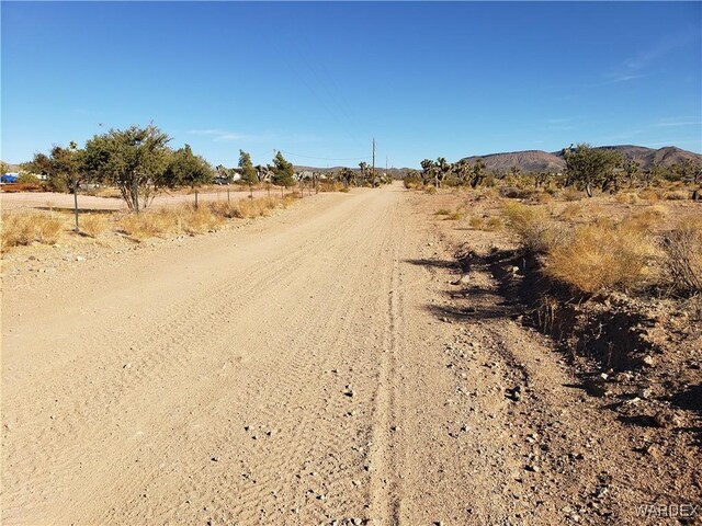 20576 N Golden Arrow Ave, White Hills, AZ 86445 - photo 5