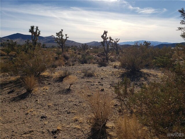 20576 N Golden Arrow Ave, White Hills, AZ 86445 - photo 4