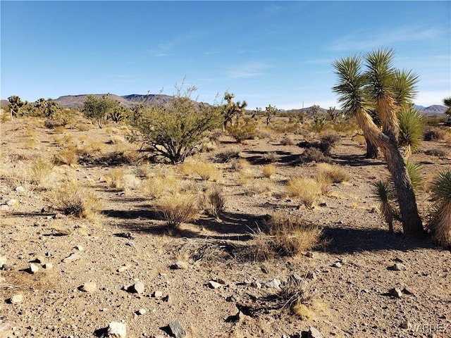 20576 N Golden Arrow Ave, White Hills AZ, 86445 land for sale