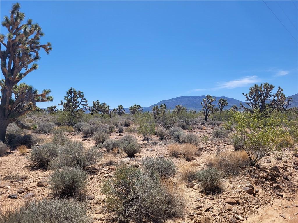 26776 N Yucca Rd, Meadview, AZ 86444