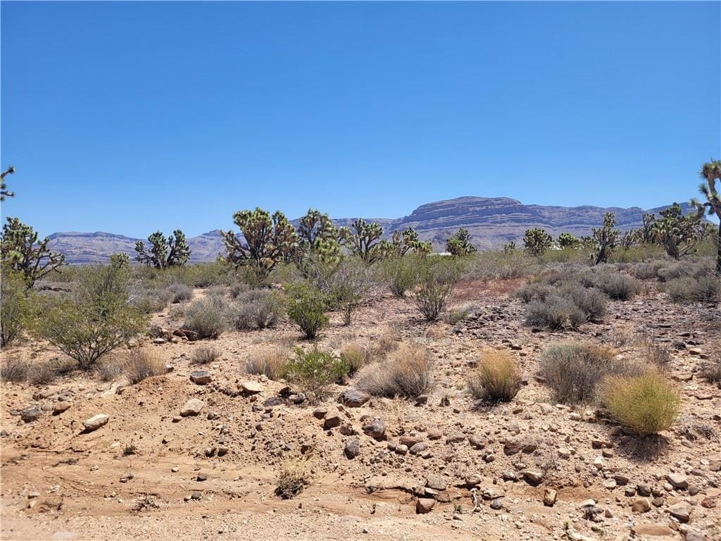 26776 N Yucca Rd, Meadview, AZ 86444