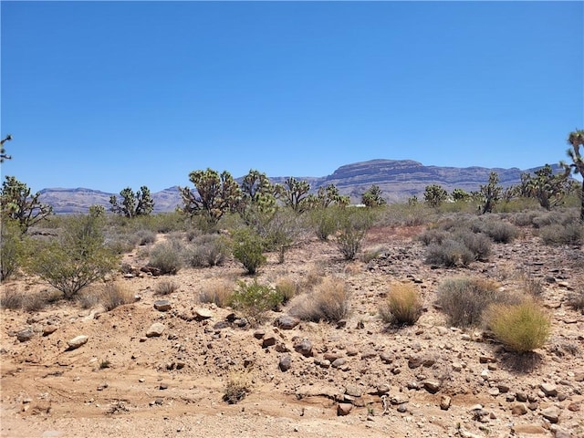 26776 N Yucca Rd, Meadview, AZ 86444