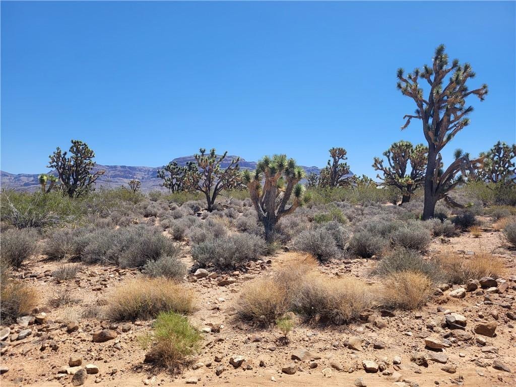 26776 N Yucca Rd, Meadview, AZ 86444