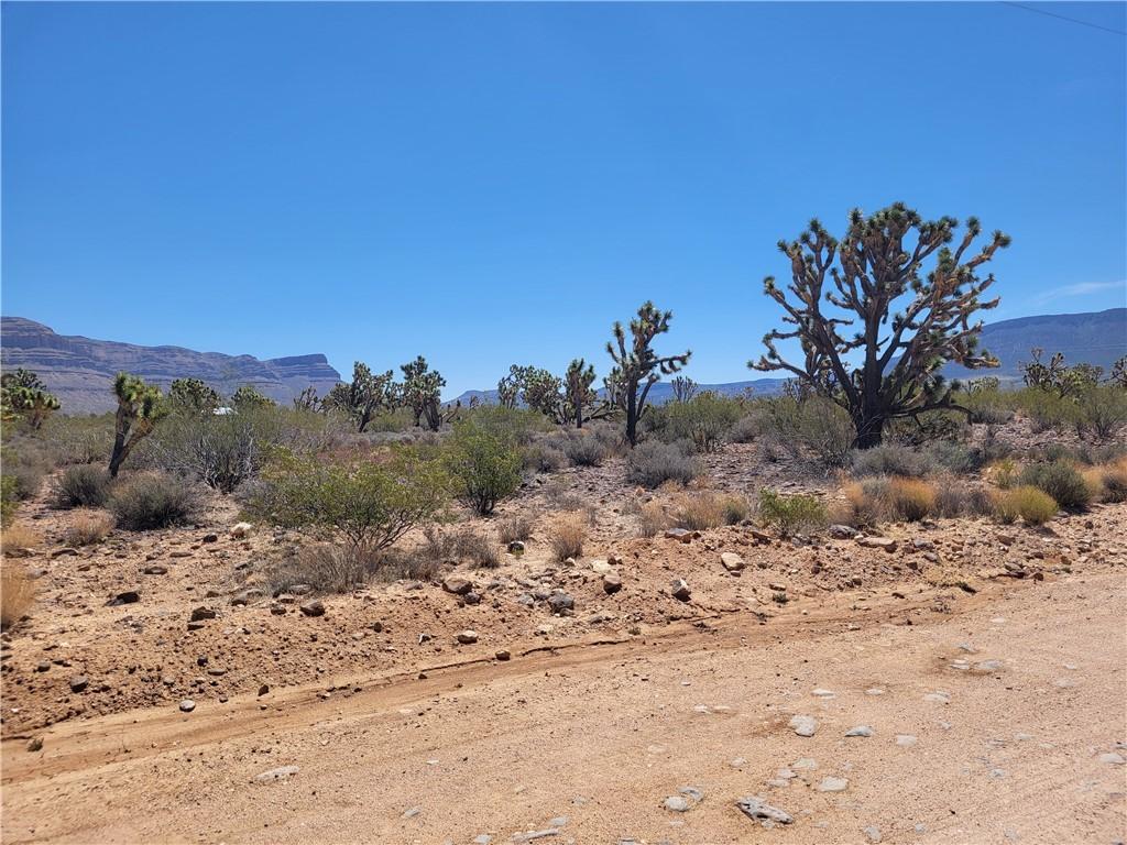 26776 N Yucca Rd, Meadview, AZ 86444