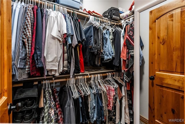 view of spacious closet
