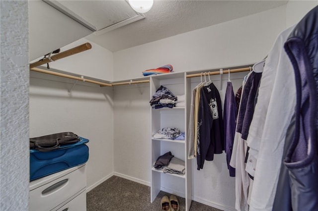 3408 Sunriver Rd Unit 207 B6, Bullhead City, AZ 86429 - walk in closet with carpet flooring and attic access