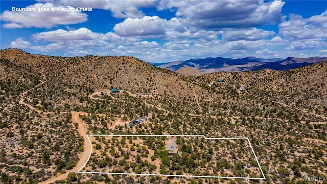7270 N Pine Valley Dr, Hackberry, AZ 86411 - photo 52