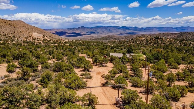 7270 N Pine Valley Dr, Hackberry, AZ 86411 - photo 41