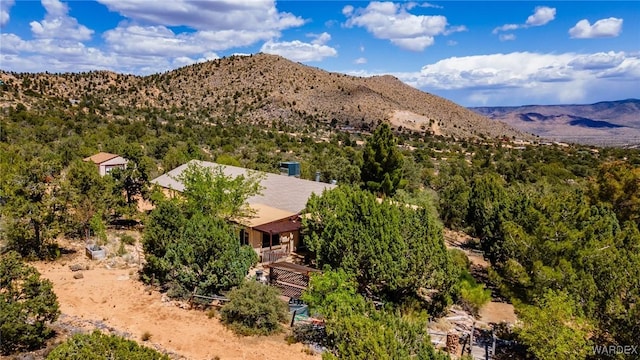 7270 N Pine Valley Dr, Hackberry, AZ 86411 - photo 47
