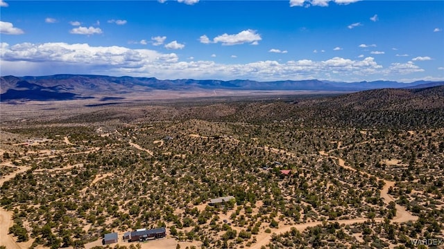 7270 N Pine Valley Dr, Hackberry, AZ 86411 - photo 53