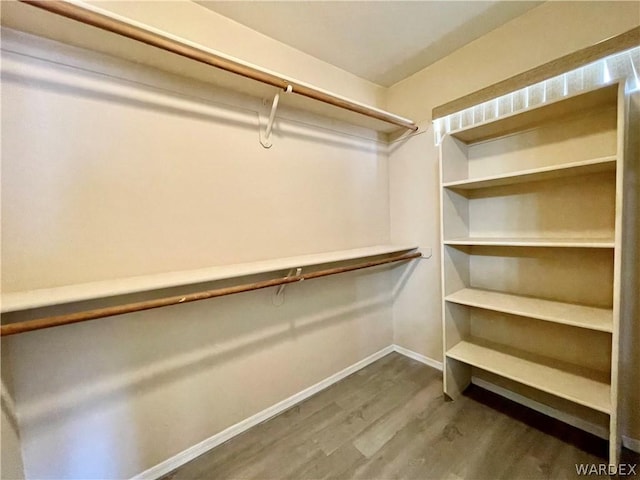 spacious closet with wood finished floors