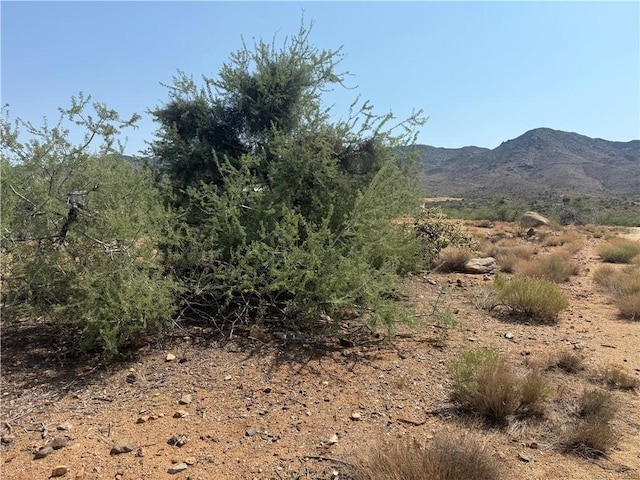 2LOTS W Minnesota Ave, Chloride, AZ 86431 - photo 3